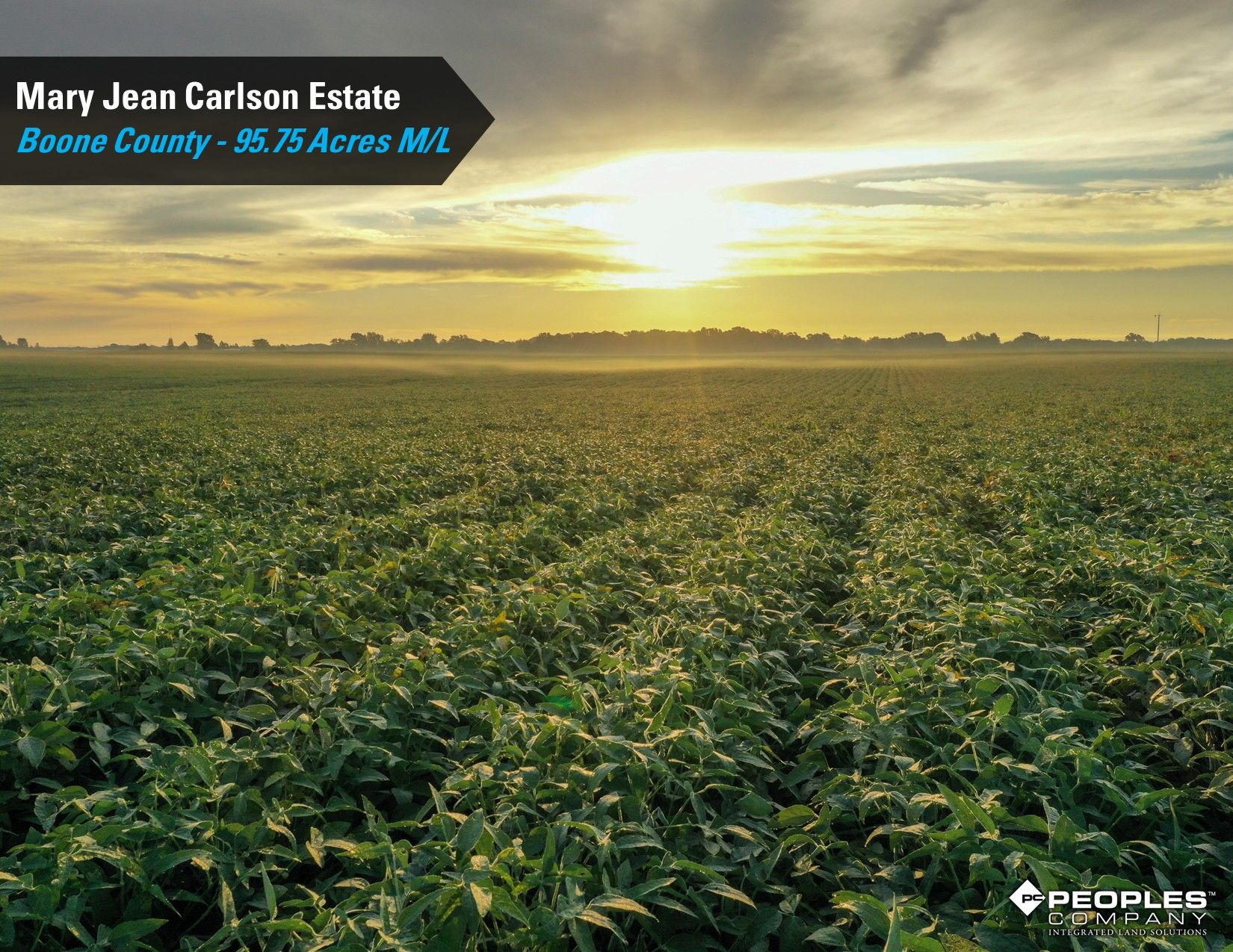 Listing Photo: Boone-County-IA-Land-Auction-95.75-Acres-Ogden-Carlson-Estate (9)